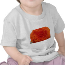 Multi-Petaled Round Orange Flower flowers T-shirts