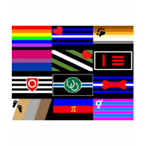 Multi-Pride Flags t-shirts