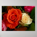 Multi-Rose Poster
