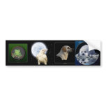 Multi-stickers I ANIMAL Set Bumper Stickers
