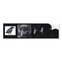 Multi-stickers III BLACK RAVEN Set bumper stickers by RavenSpiritPrints Multi-stickers III BLACK RAVEN Set bumper stickers