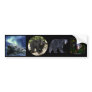 Multi-stickers V BEAR Set Bumper Stickers