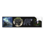 Multi-stickers V BEAR Set Bumper Stickers