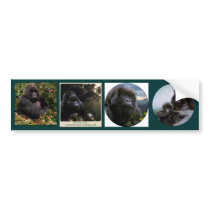Multi-stickers VII PRIMATE Set bumper stickers