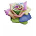 Ladies Baby Doll (Fitted)