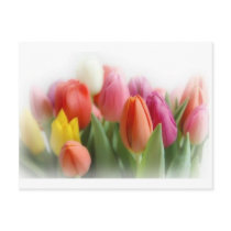 multicolor tulips postcards by Ceyzpurplestang multicolor tulips postcards