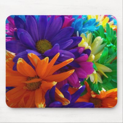 Multicolored Daises Mouse Pads