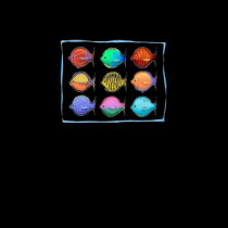Multicolored Fish T-Shirt
