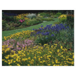 Multicolored garden with lawn path full color flyer