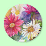 Multicolored Gerbera Daisies magnets