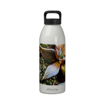 MULTICOLORED SUCCULENTS REUSABLE WATER BOTTLE