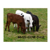 Multicultural? We're Multi-COW-tural! print