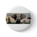 (multiple products selected)Africa buttons