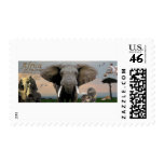(multiple products selected)Africa stamps
