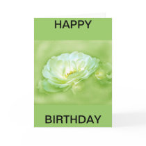 (multiple products selected)BEAUTY IN THE MIST Card