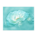 (multiple products selected)BEAUTY IN THE MIST Postcards