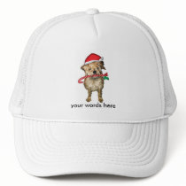 (multiple products selected) Christmas dog  candy hats