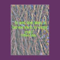 (multiple products selected) Easter Inspirations postcards