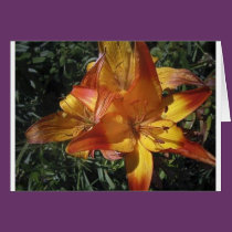 (multiple products selected) Fabulous Flowers cards