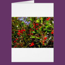 (multiple products selected) Fabulous Flowers cards