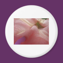 (multiple products selected) Fabulous Flowers magnets
