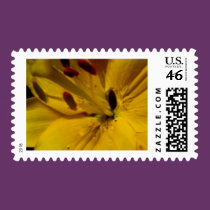 (multiple products selected) Fabulous Flowers stamps