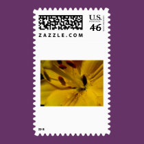 (multiple products selected) Fabulous Flowers stamps