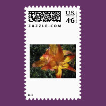 (multiple products selected) Fabulous Flowers stamps