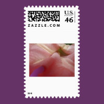 (multiple products selected) Fabulous Flowers stamps