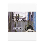 (multiple products selected) Funny, cars, Postcard