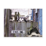 (multiple products selected) Funny, cars, Post Card