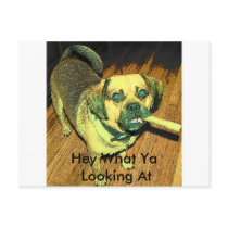 (multiple products selected) Funny Puggle Dog postcards