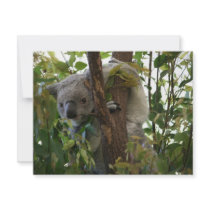 (multiple products selected) Koala invitations by SykoSam (multiple products selected) Koala invitations
