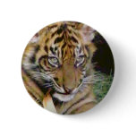 (multiple products selected) Looking_ Buttons