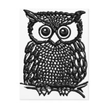 (multiple products selected)Owl Postcards