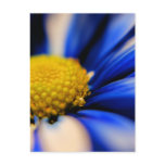 (multiple products selected)Pinwheel Postcard