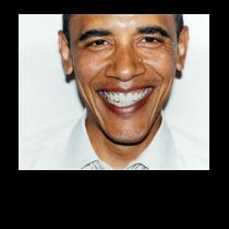 (multiple products selected) Rock Fan, Obama t-shirts