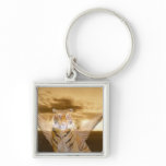 (multiple products selected) Tiger of Love_ Keychains
