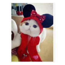 MULTIPLE PRODUCTS THAT ARE CUTE POST CARD