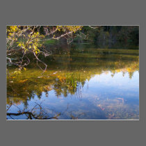 Multiple Reflections business cards