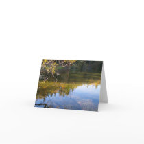 Multiple Reflections Greeting Cards