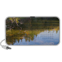 Multiple Reflections Laptop Speaker
