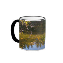 Multiple Reflections Mug