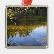 Multiple Reflections Ornaments