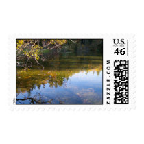 Multiple Reflections Postage