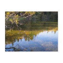 Multiple Reflections Post Cards