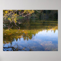 Multiple Reflections Poster