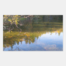 Multiple Reflections Rectangular Stickers