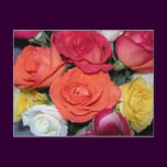 Multiple Roses