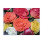 Multiple Roses
